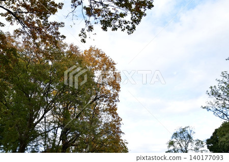 Autumn sky and autumn leaves Autumn sky and autumn leaves 140177093