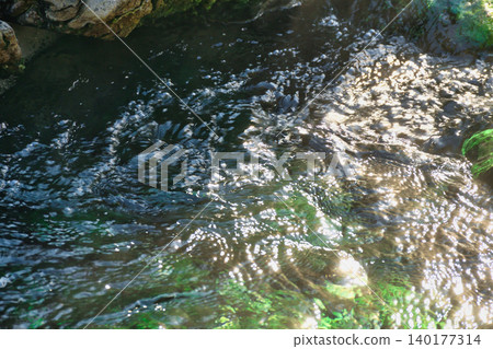 草津溫泉西之河原公園(群馬縣吾妻郡草津町) 草津溫泉西之河原公園(群馬縣吾妻郡草津町) 140177314