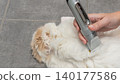 Cat grooming process with a hand holding a grooming tool, fluffy white cat lying on a tiled surface, showcasing the care of pet hygiene and maintenance 140177586