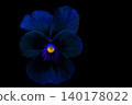 Black pansies floating in the darkness 140178022