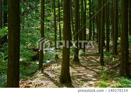 Hyogo Prefecture - Stream Valley Walking Trail (Center, Yachiyo no Mori Park) Hyogo Prefecture - Stream Valley Walking Trail (Center, Yachiyo no Mori Park) 140178154