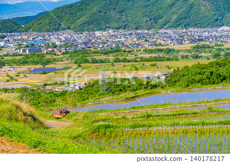 [Nagano Prefecture] Obasute Rice Terraces - Rice Planting Season 140178217