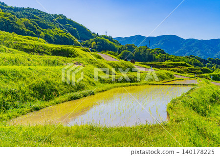 [Nagano Prefecture] Obasute Rice Terraces - Rice Planting Season 140178225