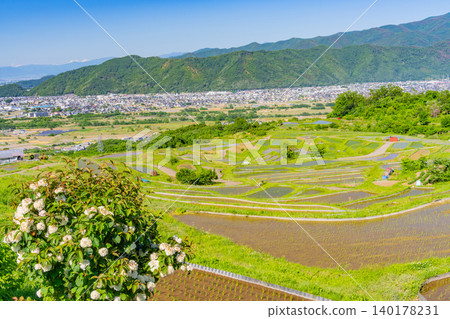 【長野縣】小缽手梯田 - 水稻種植季 【長野縣】小缽手梯田 - 水稻種植季 140178231