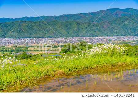 【長野縣】小缽手梯田 - 水稻種植季 【長野縣】小缽手梯田 - 水稻種植季 140178241