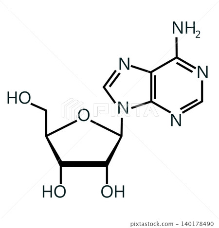 Adenosine (Ado) purine nucleoside molecule structure. Chemical structure of Adenosine (C10H13N5O4). Skeletal formula. Drug chemical molecule. flat style. Adenosine (Ado) purine nucleoside molecule structure. Chemical structure of Adenosine (C10H13N5O4). Skeletal formula. Drug chemical molecule. flat style. 140178490