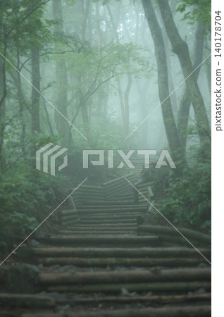 Wooden hiking trails on Mt. Daisen, shrouded in mist. 140178704