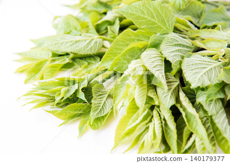 Throat sprouts 140179377
