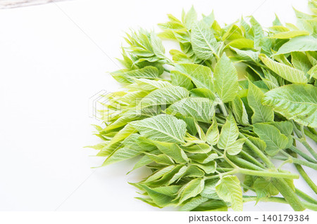 Throat sprouts Throat sprouts 140179384