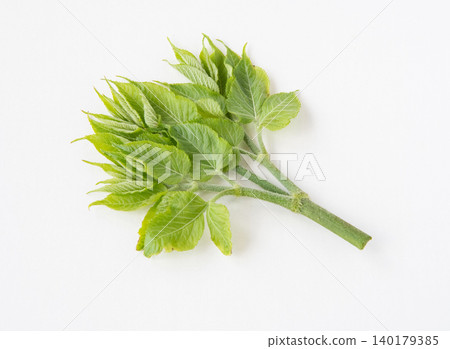 Throat sprouts 140179385