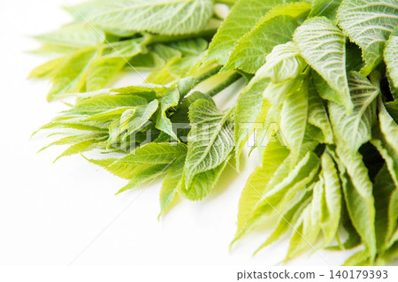 Throat sprouts 140179393