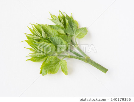 Throat sprouts 140179396