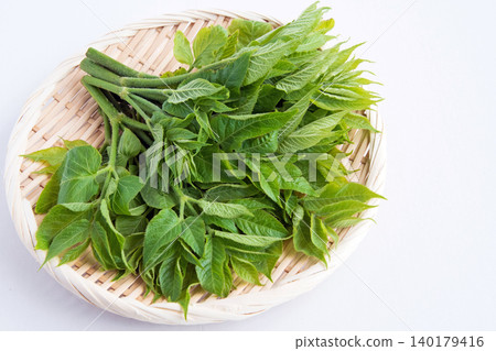 喉嚨發芽 喉嚨發芽 140179416