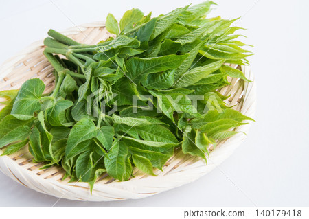 喉嚨發芽 喉嚨發芽 140179418