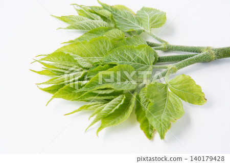 Throat sprouts Throat sprouts 140179428