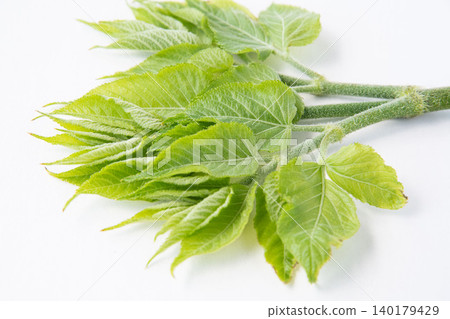 Throat sprouts Throat sprouts 140179429