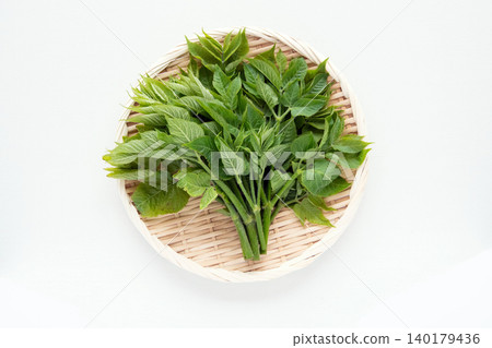 Throat sprouts 140179436
