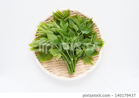 Throat sprouts Throat sprouts 140179437