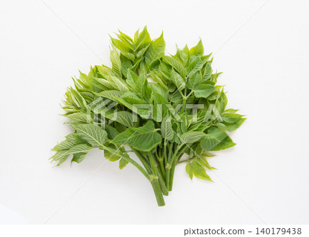 Throat sprouts Throat sprouts 140179438