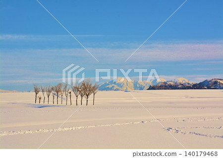 雪域的哈薩樹·越後Miyama雪景 雪域的哈薩樹·越後Miyama雪景 140179468