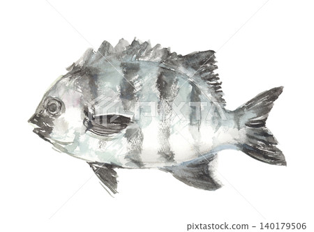 Watercolor illustration of a striped beakfish 140179506