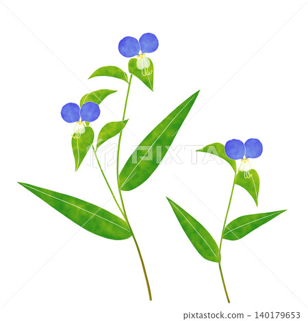 Watercolor-style dayflower Watercolor-style dayflower 140179653