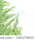 Fresh rosemary leaves against a white background. 140179655