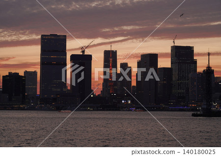 Tokyo's scenery bathed in the sunset 140180025