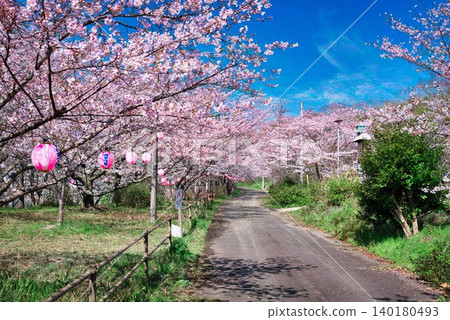 萬水池的櫻花（香川縣三豐市高瀨町） 140180493