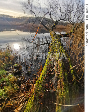 lake near Vidnava with nice nature 140180681