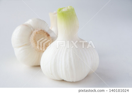 Freshly dug garlic 140181024