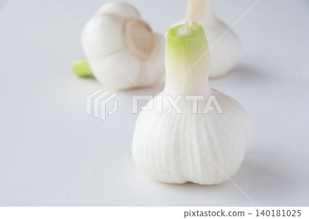 Freshly dug garlic Freshly dug garlic 140181025