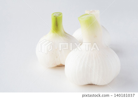 Freshly dug garlic Freshly dug garlic 140181037
