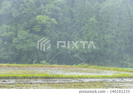 Heavy rain falling in the mountains: A beautiful natural landscape and torrential downpour. Heavy rain falling in the mountains: A beautiful natural landscape and torrential downpour. 140181233