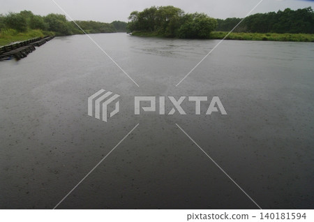 可惜的是，北海道的釧路濕地在夏季因雨水而籠罩在霧氣之中。釧路川則靜靜地流淌著。 140181594