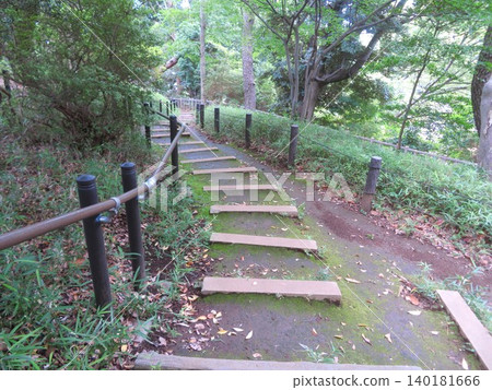 Walking paths in Honmonji Park, overflowing with greenery 140181666