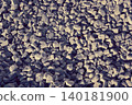 Natural stone cosmetic gravel 140181900