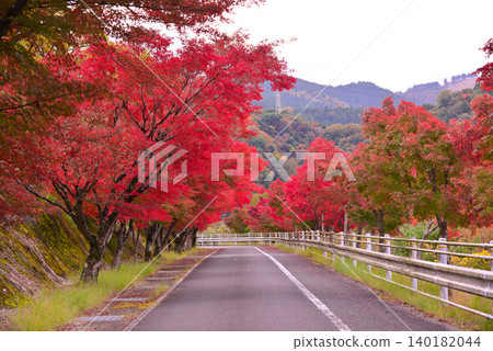 Autumn leaves of Lake Tanzawa Autumn leaves of Lake Tanzawa 140182044