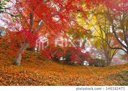 Falls of Sogaki in autumn Falls of Sogaki in autumn 140182471