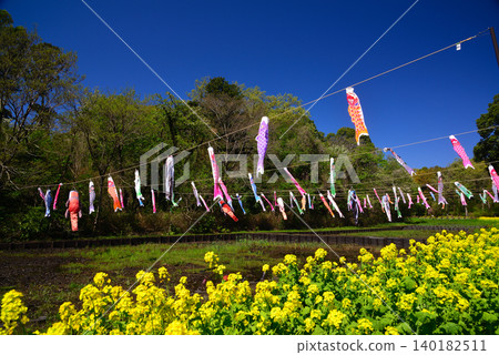 Carp streamer for May Carp streamer for May 140182511
