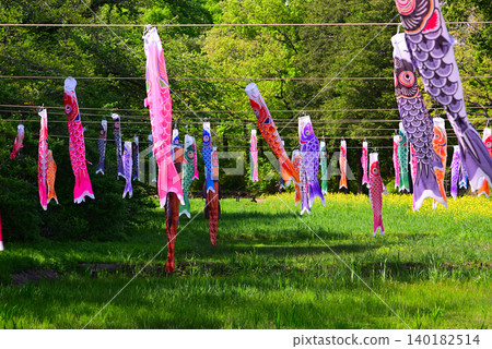Carp streamer for May Carp streamer for May 140182514