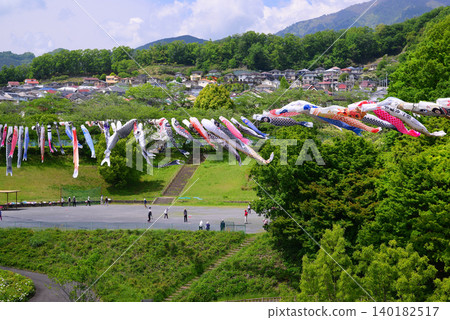 Carp streamer for May Carp streamer for May 140182517