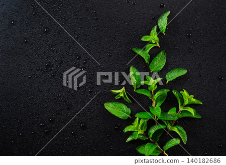 Fresh mojito mint stands out against a black background with water droplets. (Top view) Copy space 140182686