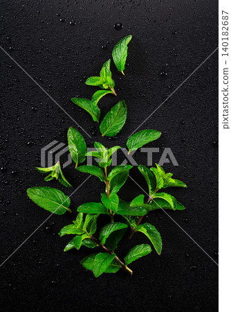新鮮的莫吉托薄荷葉在黑色背景的映襯下格外醒目,背景上點綴著水滴。豎幅俯視圖。留有文字空間。 新鮮的莫吉托薄荷葉在黑色背景的映襯下格外醒目,背景上點綴著水滴。豎幅俯視圖。留有文字空間。 140182687