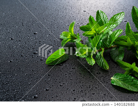 Fresh mojito mint stands out against a black background with water droplets. (Oblique overhead view) Copy space Fresh mojito mint stands out against a black background with water droplets. (Oblique overhead view) Copy space 140182688