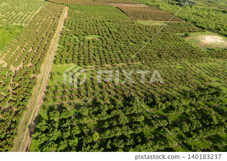 Aerial view of agricultural land. Valley of fruit farms. Aerial view of agricultural land. Valley of fruit farms. 140183237