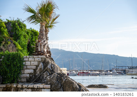 Vertical garden on a sea resort 140183261