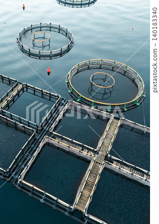 Aerial view of a fish farm with floating cages arranged on the water surface. Modern aquaculture and sustainable seafood production. Aerial view of a fish farm with floating cages arranged on the water surface. Modern aquaculture and sustainable seafood production. 140183340
