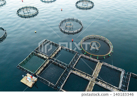 Aerial view of a fish farm with floating cages arranged on the water surface. Modern aquaculture and sustainable seafood production. Aerial view of a fish farm with floating cages arranged on the water surface. Modern aquaculture and sustainable seafood production. 140183346