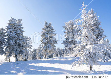 Snow covered trees. Winter forest. Snow covered trees. Winter forest. 140183416